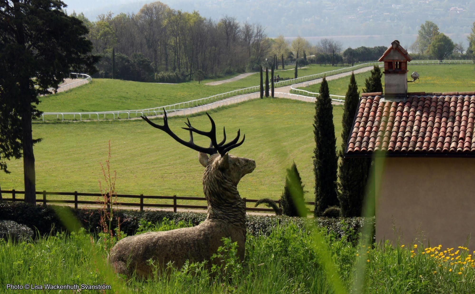 Foresteria Dei Piaceri Campestri Casciago Kültér fotó